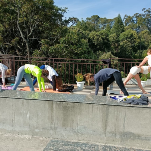 Morning Yoga Session in Kumaon Almora