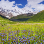 Valley of flowers Uttarakhand